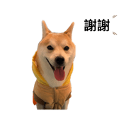 884206206