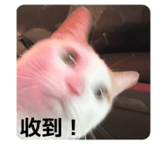 884207899