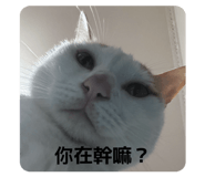 884207903
