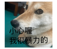 884215186