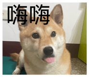 884215187