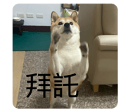 884215189