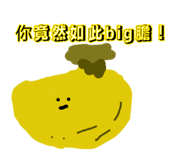 884223951