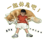 884229647