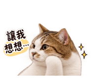 884230245