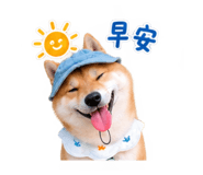 884234201