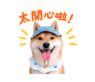 884234202