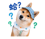 884234203