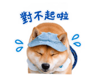 884234204