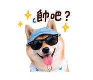 884234205