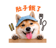 884234206