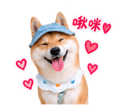 884234209