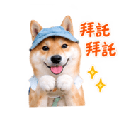 884234210