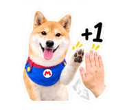 884234222