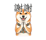 884236573