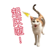 884242889