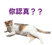 884242895