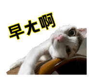 884242896