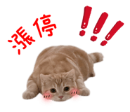 884244365