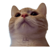 884244372