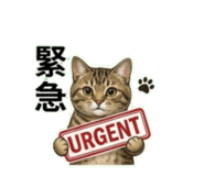884248044