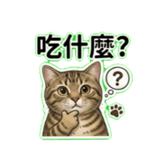 884248066