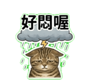 884248068