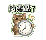 884248080
