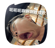 884250405