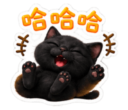 884252507