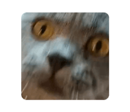 884257062