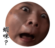 884258196