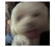 884262808