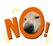 884272970