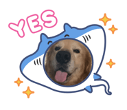 884272971