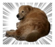 884272983