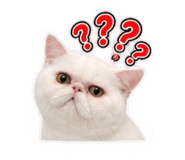 884275944