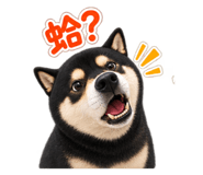 884275981