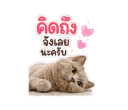 884329650