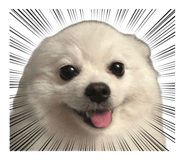 884359864