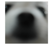 884359888