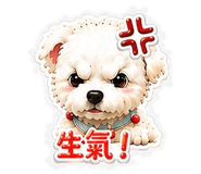 884361594