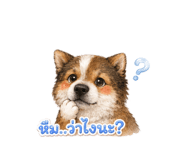 884365602
