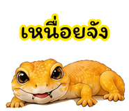 884366103