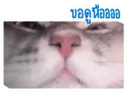 884366560