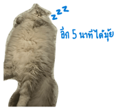 884366565