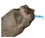 884366567