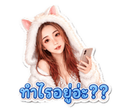 884384815