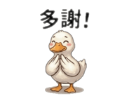 884397042