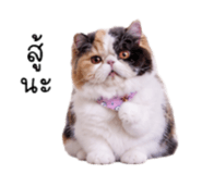 884408179
